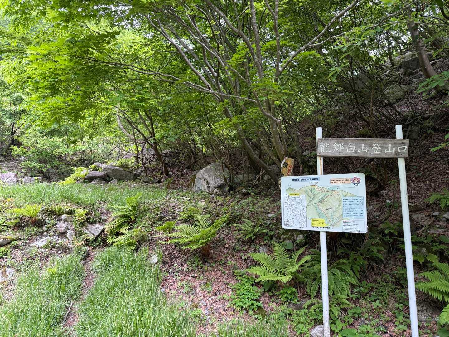 3㌔の林道終えると登山口