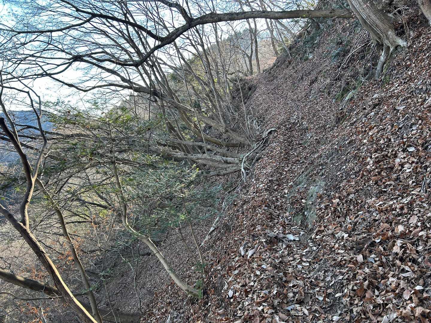 ここ注意⚠️
道が狭い上に、左側切れ落ちてます😱