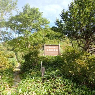 登山スタート