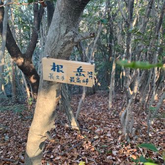 いつもの標識③