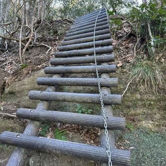 高宕山山頂手前には梯子withチェーンあり。