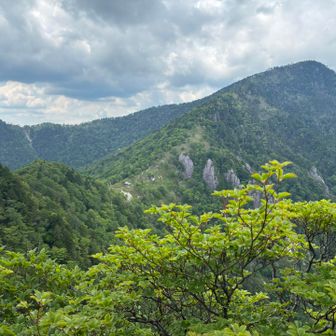 大日岳山頂より釈迦ヶ岳方面を望む。