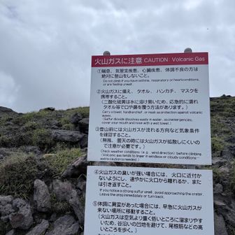 大丈夫でした