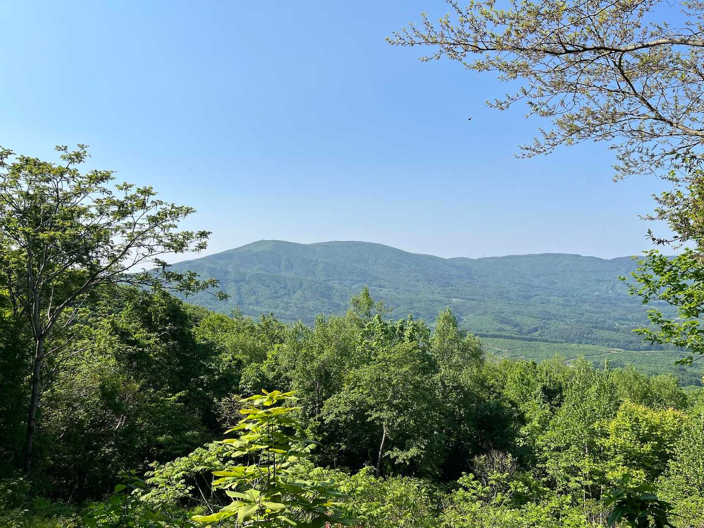 階上岳⛰️が見える👀
あそこもMCTルートなんだよなぁ…
とりあえず…岩手県内のMCTが終わってからね♫