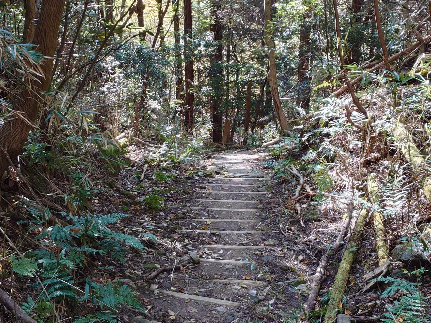 下山します🙇