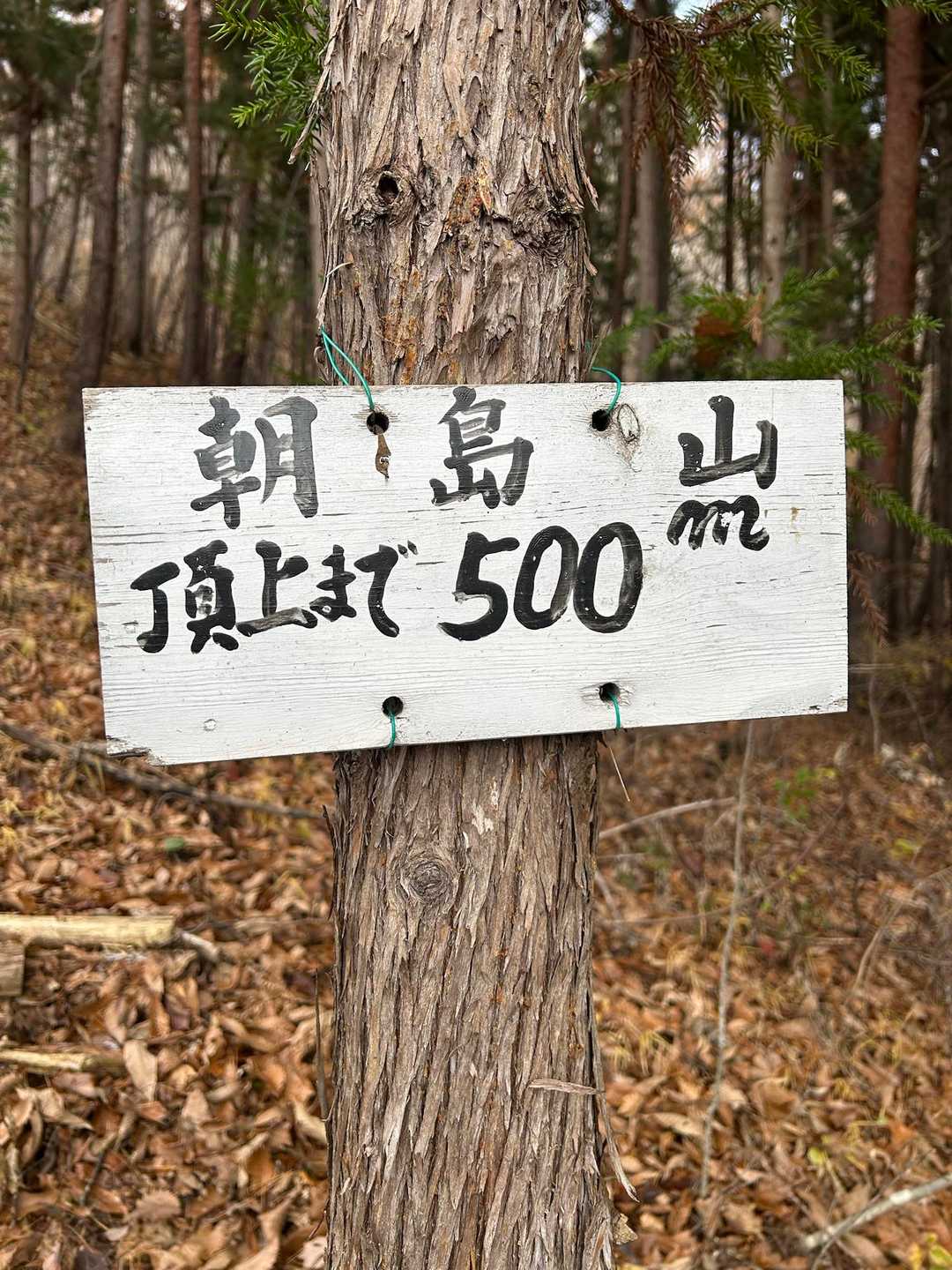 500mも長い