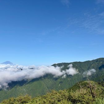 今の時間なら塔ノ岳山頂からの眺めも良さそう