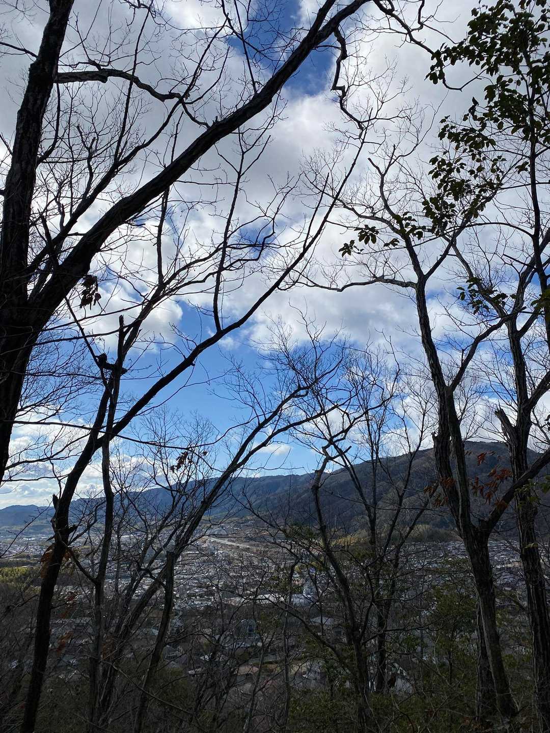 馬堀駅-みすぎ山-唐櫃越-沓掛山-沓掛山登山口-上桂駅 縦走コースの写真