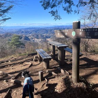 晃石山から青木山まで向かう