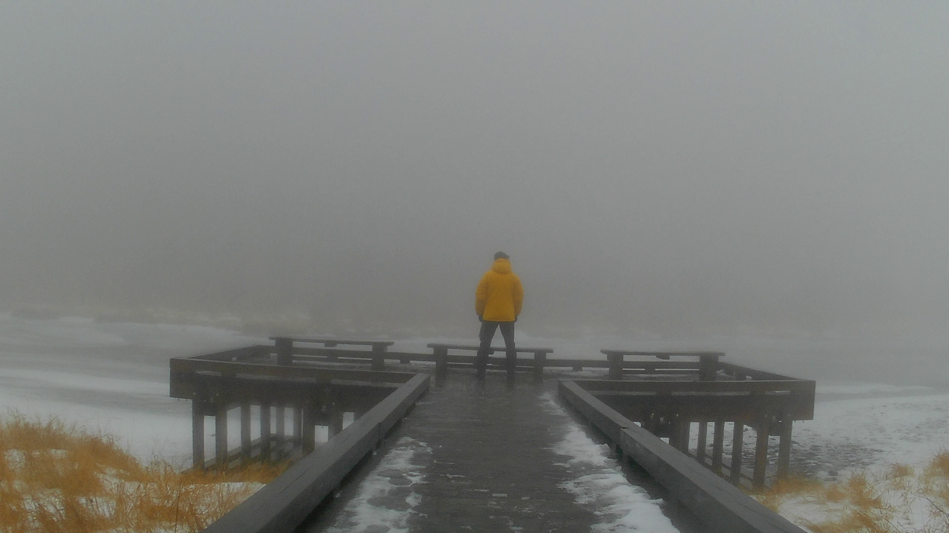 まるで水墨画】霧と雪に包まれた赤城山・覚満淵❄️「小尾瀬」の冬景色