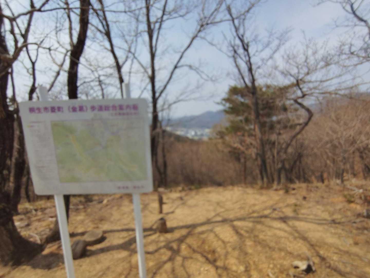 泉龍院口-一色山-金狐山 往復コースの写真