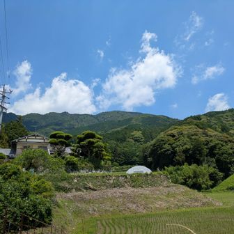 麓の本道寺あたりから宝満を振り返る。こちらからだとのっぺりした印象を受ける。そしてすでに暑い…
