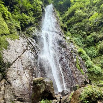 本棚の滝

想像以上に落差があって周囲は涼しい