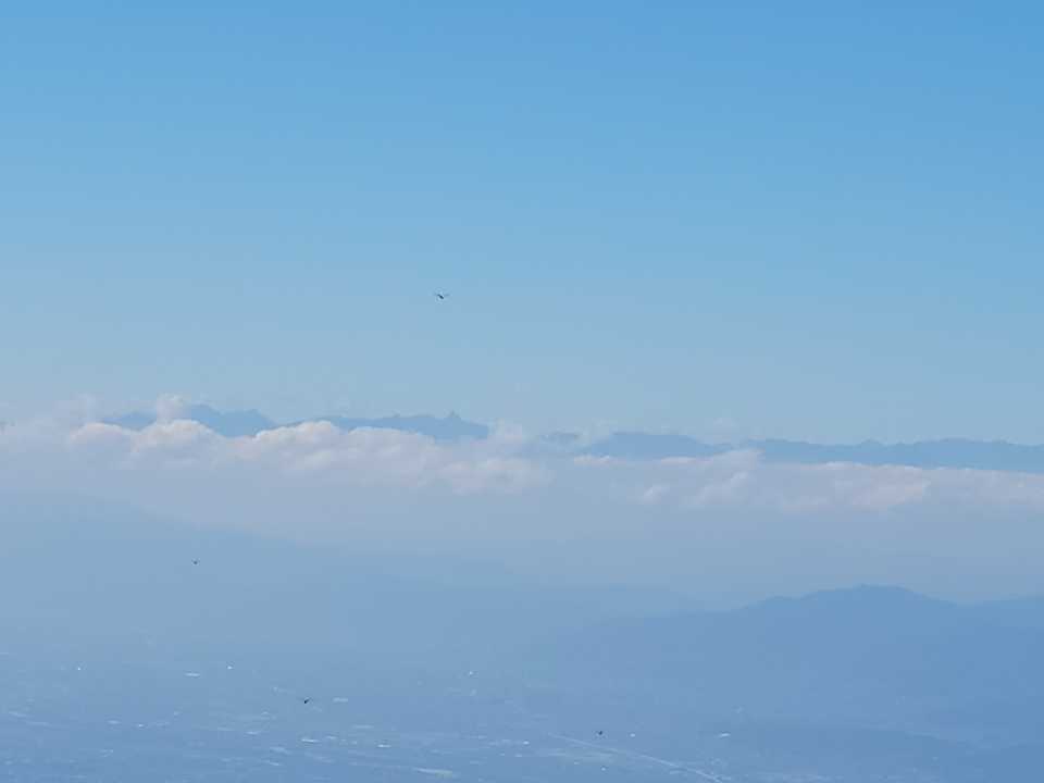 槍‼️