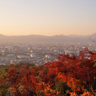 京都の街と紅葉🍁
