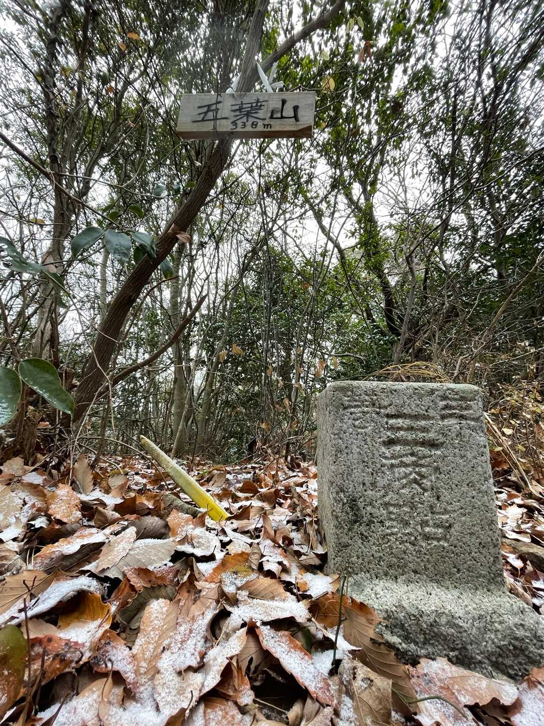 五葉山⛰ピークハント👍