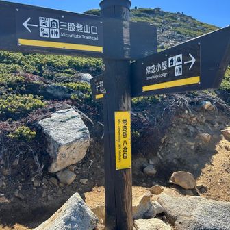 分岐