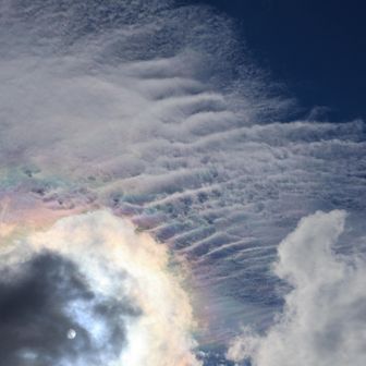 いいねえ！ラッキーです