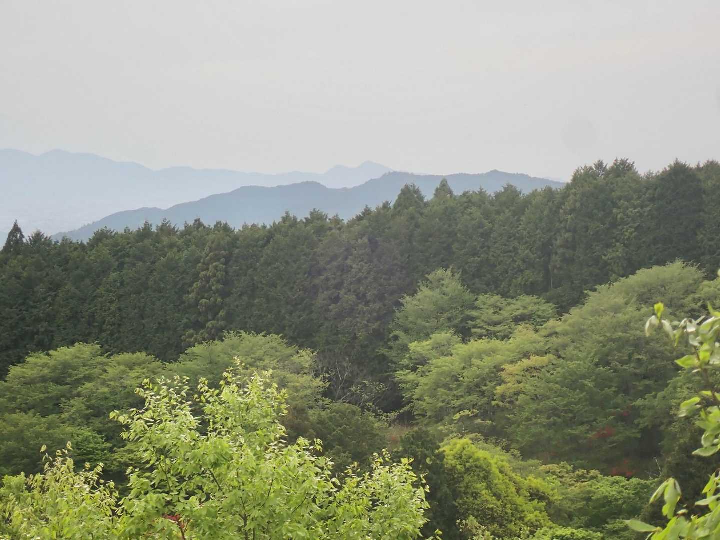 二上山にズームイン