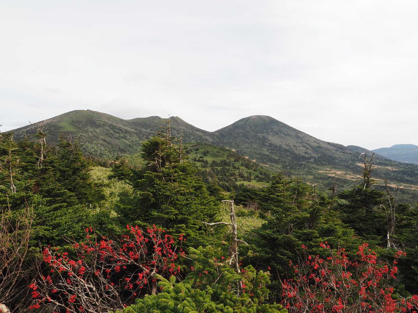 左から赤倉岳、井戸岳、大岳（八甲田山）
