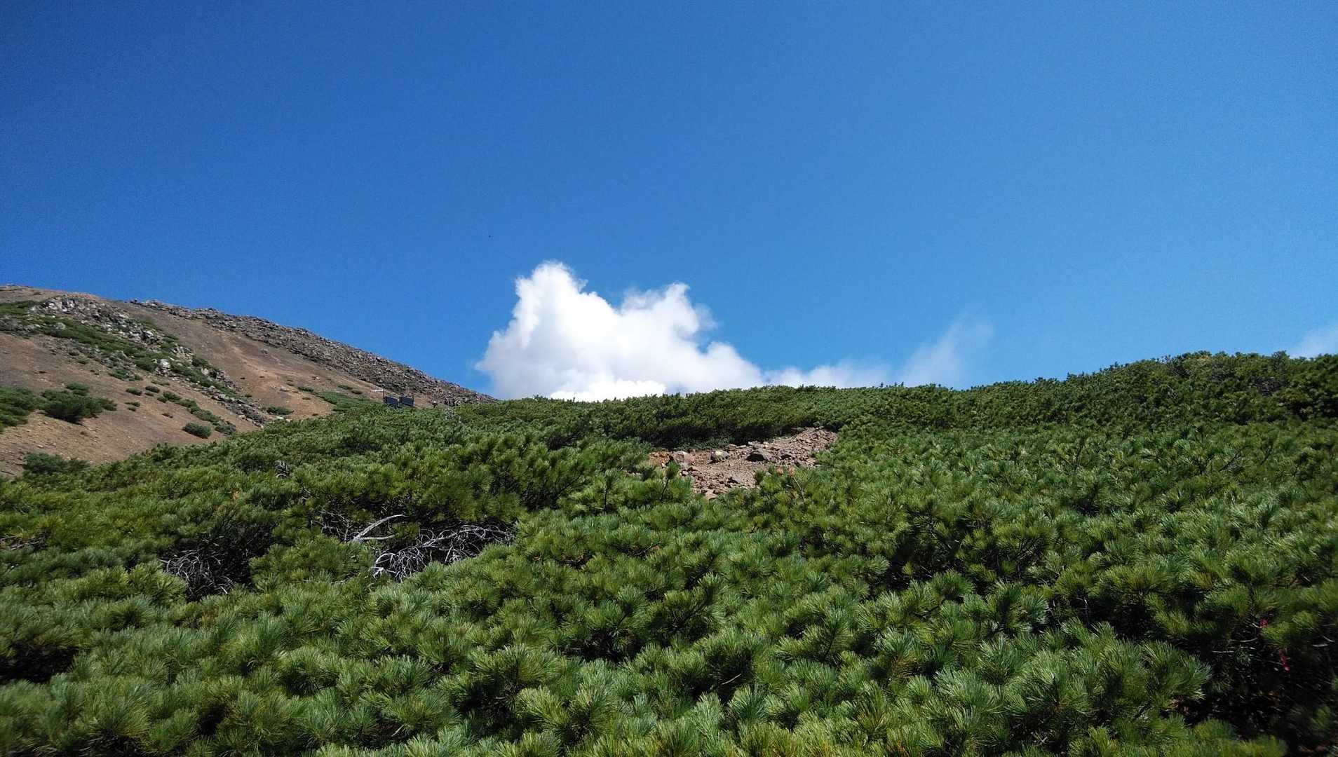 オンネトー登山口-阿寒富士 往復コースの写真