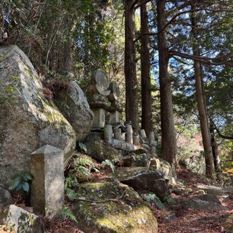 祀られる岩🪨そーです、木や森、岩や生き物、万物に神様は宿るのです（人間以外）