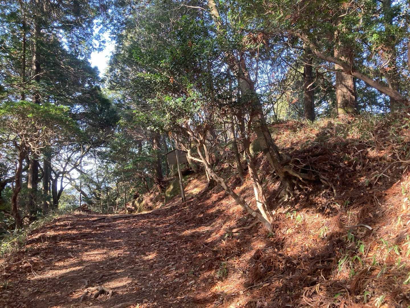 不動寺-太神山 往復コースの写真