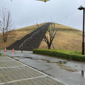 傘をさしてお散歩