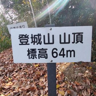 低いけど山頂でピークゲットです。
_(^^;)ツ アハハ
