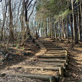 長い木階段