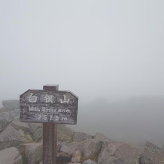ということで到着。
もうずっと真っ白。