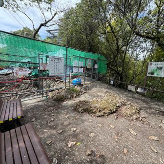 岐阜城やロープウェイ側へは行けませんが🚧
休憩はできるようになってます