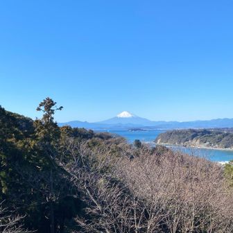 このルートもいいです。