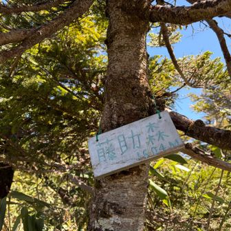 藤助森到着🙌

1604m