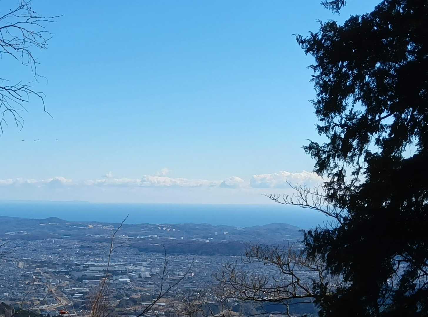櫟山山頂から
