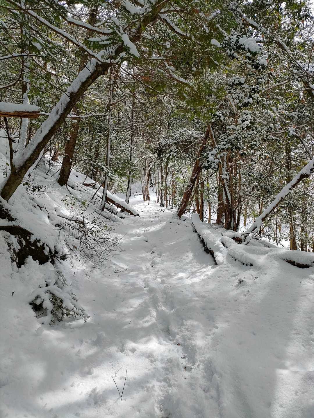 登るにつれ、だんだん雪がふえてくる😄