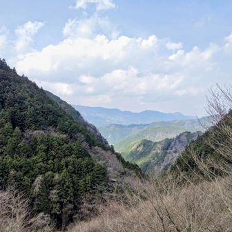 今日の一番の展望👀