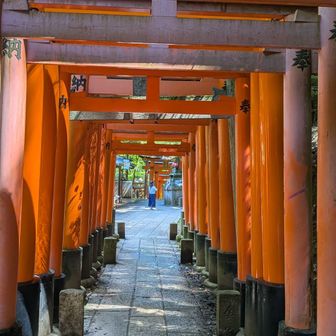 千本鳥居