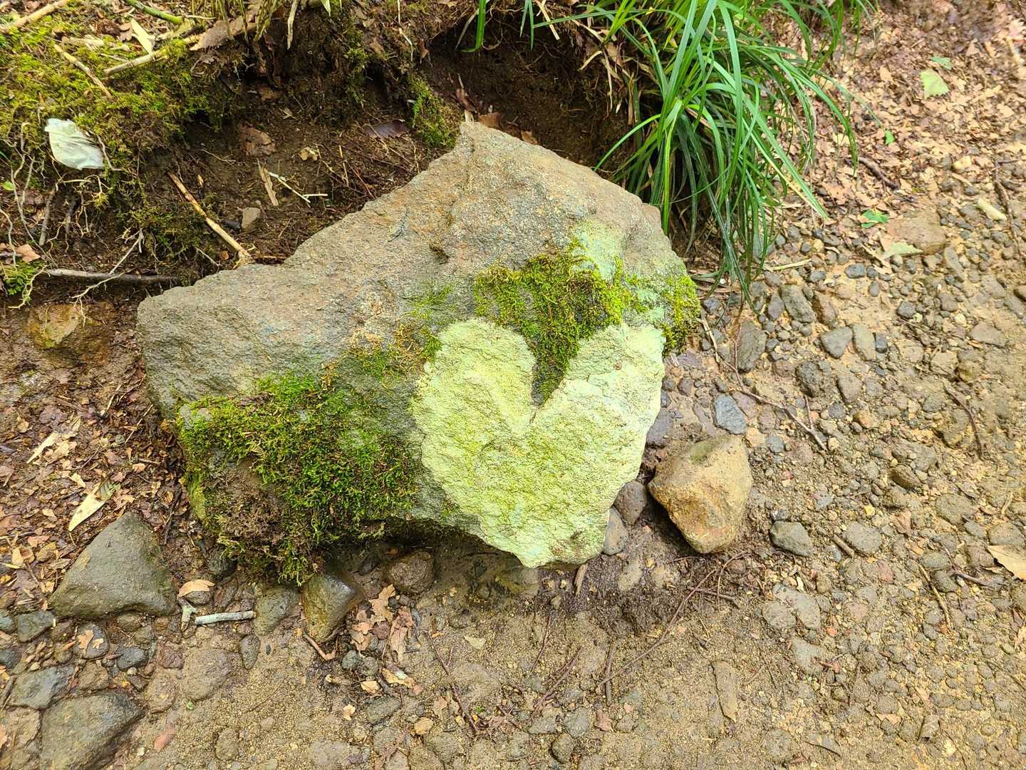 ハートみっけ