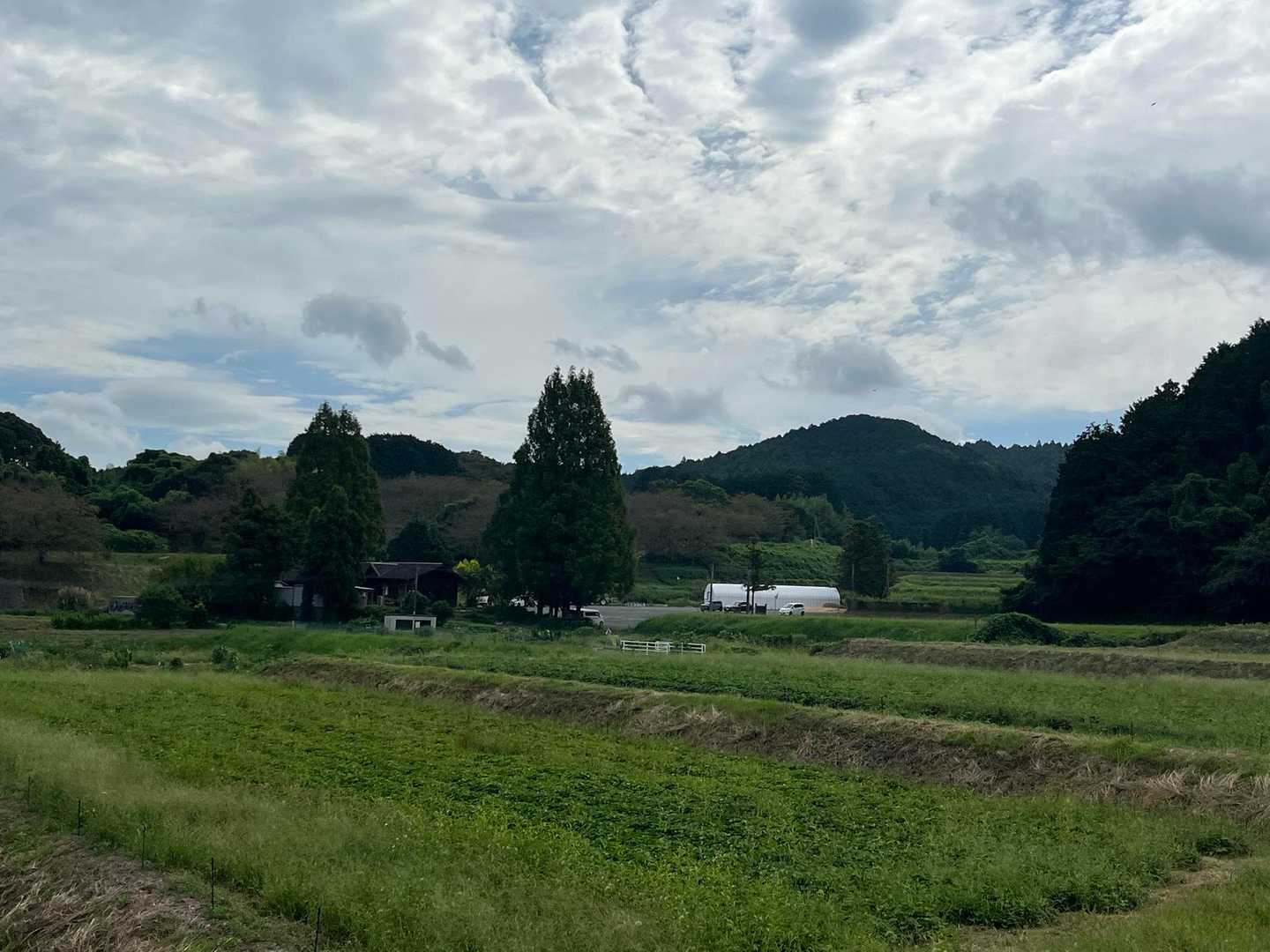 ぐるっと周っちゃいましたね～
