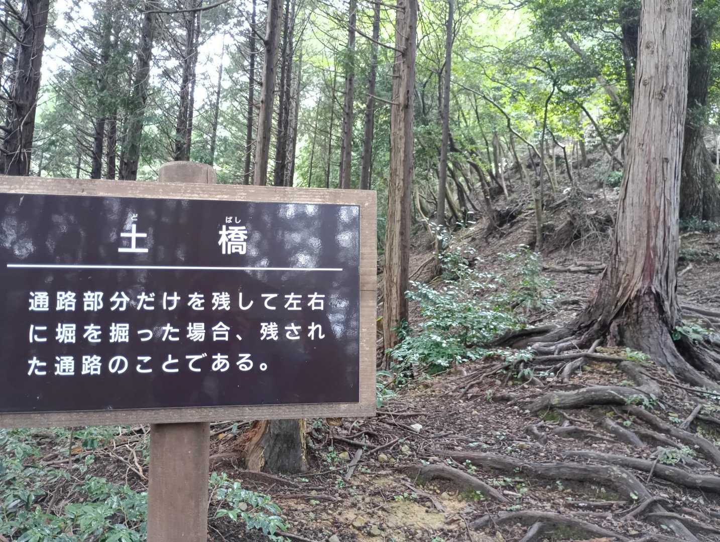 菩提山 往復コースの写真