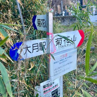 わたしは青ルートから登ります。
赤ルートは未踏なのでいつか機会があれば