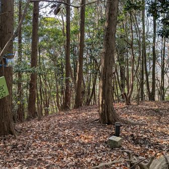 大平山到着
三等三角点　大平山