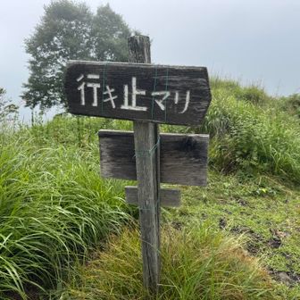 山頂に到着
いきなり山頂標識よりも先に行き止まりの標識が