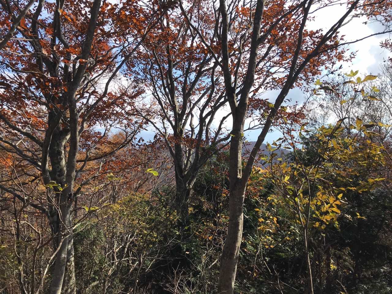 山頂からの展望