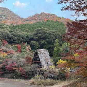 松尾池からの直登コースは通行止め。楽しいルートなのにいつから❌なんだろ ~？