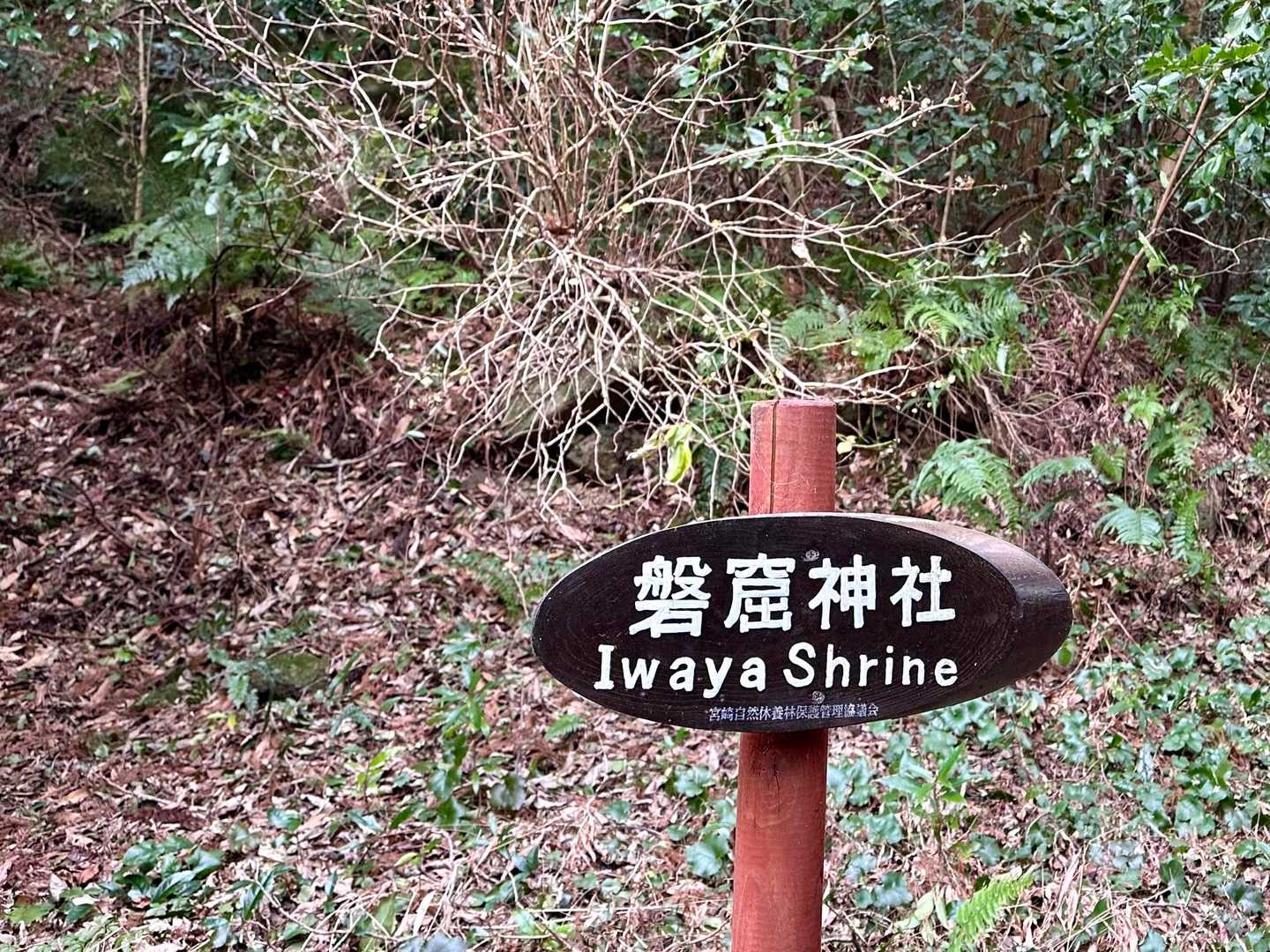 ここが神社なのは知らなかったです💦