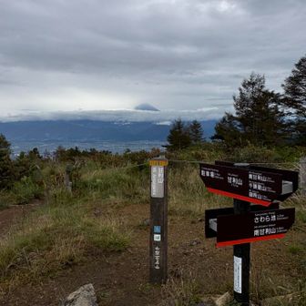 甘利山の山頂
案内版の朱色のラインが目を引く