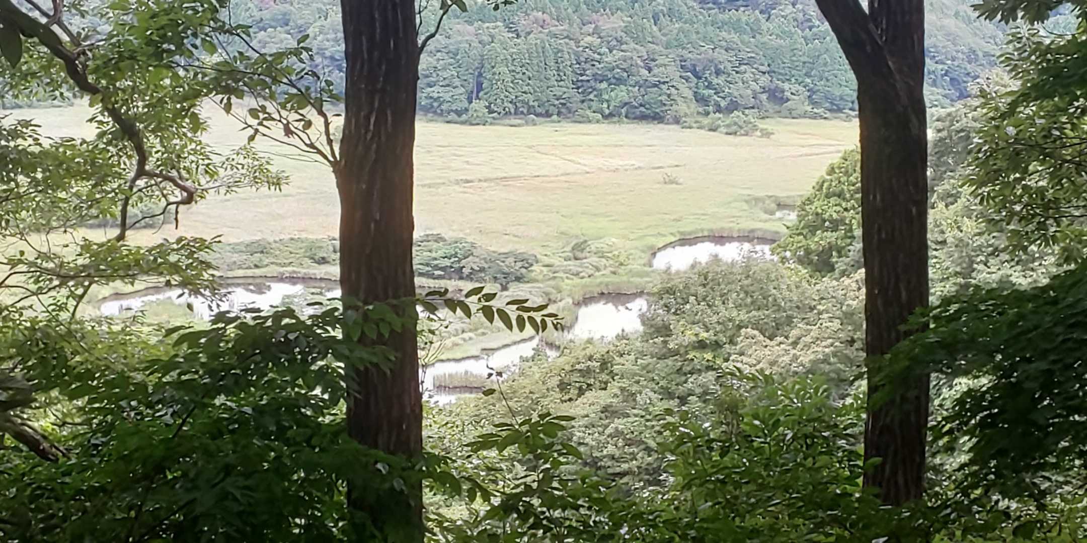 中池見湿地の奥のため池？
ビジターセンターから遠くて、今日は行けなかったけれど、いつか訪れたい