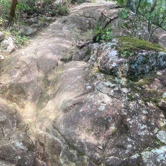 急登に加えて岩場に